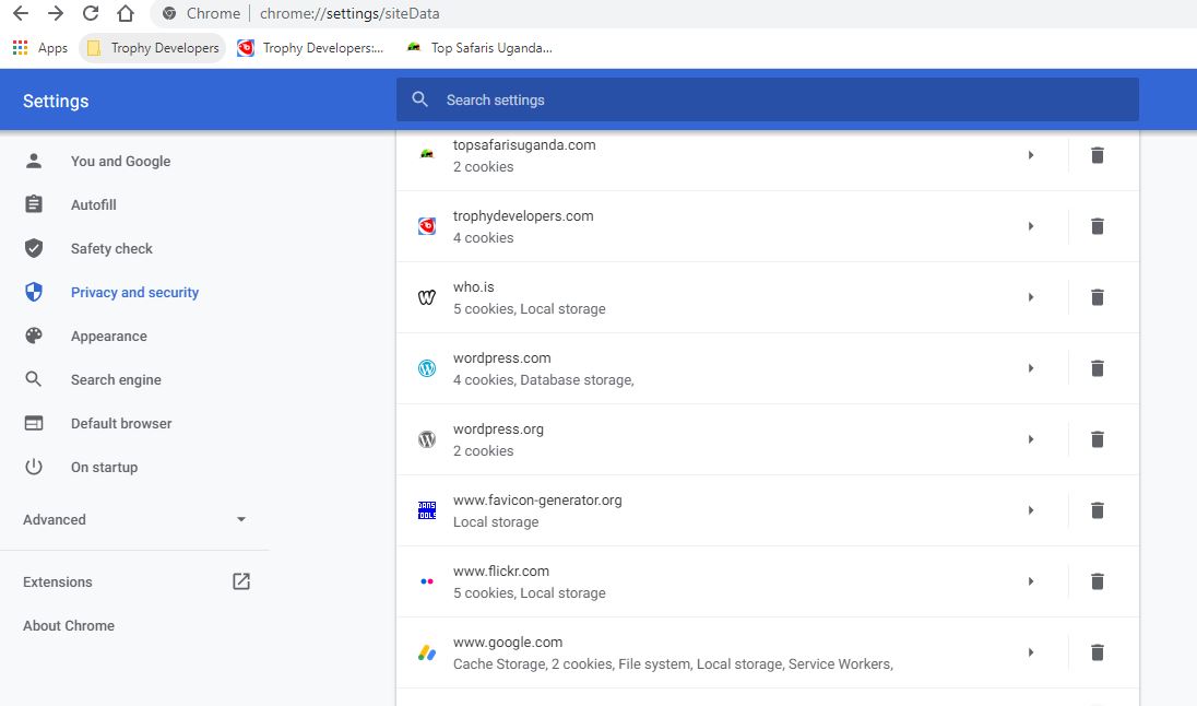 cookies in google chrome browser desktop view